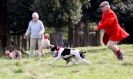 Image 40 in LURE COURSING AT HOLKHAM